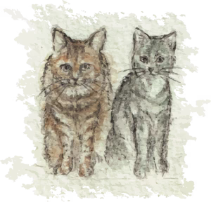 Imagen de dos gatos